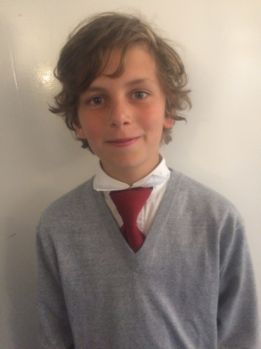 Wie sieht der Kragen aus?